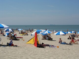 Vakantiehuis Vlissingen Omgeving 27