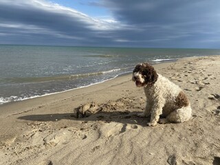Appartamento per vacanze Saint-Pierre-la-Mer Ambiente 32