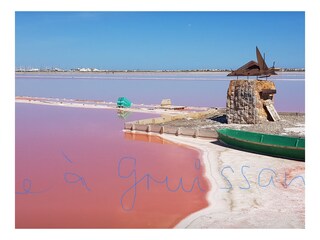 Appartamento per vacanze Saint-Pierre-la-Mer Ambiente 29