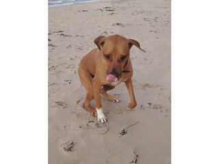 Appartement de vacances Dranske Environnement 29