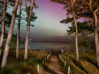 Auch Nordlichter waren bei uns schon zu sehen.