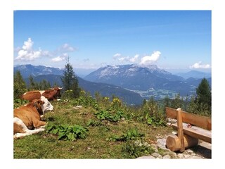 Apartamento de vacaciones Bischofswiesen Grabación al aire libre 12