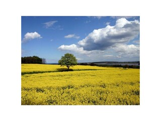 Casa per le vacanze Hohwacht Ambiente 26