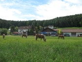 Blick vom Fuß- und Radweg auf unseren Ferienhof