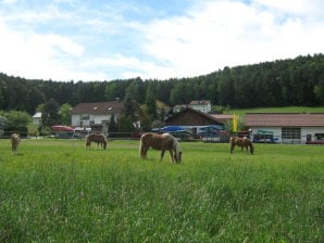 Ferienhaus "Silvia" auf dem Pferdehof Zankl - Miltach - image1