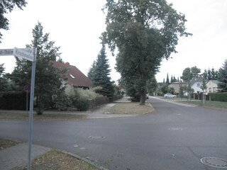 Blick in die Kirschenallee