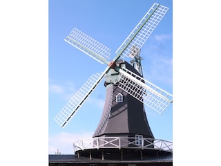 Alte Holländer Windmühle