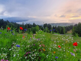 Appartamento per vacanze Hörbranz Registrazione all'aperto 18