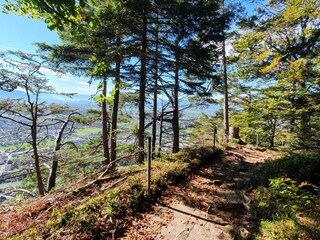 Holiday apartment Hörbranz Features 29