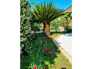 Villa Kastel Novi Ambiente 40