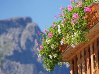 Blumen auf dem Balkon