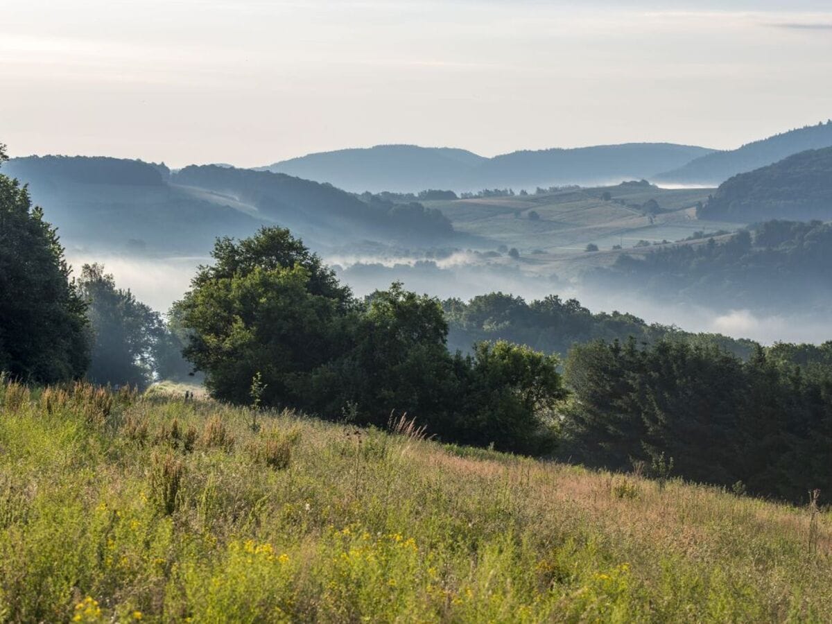 Landschaft Veldenz