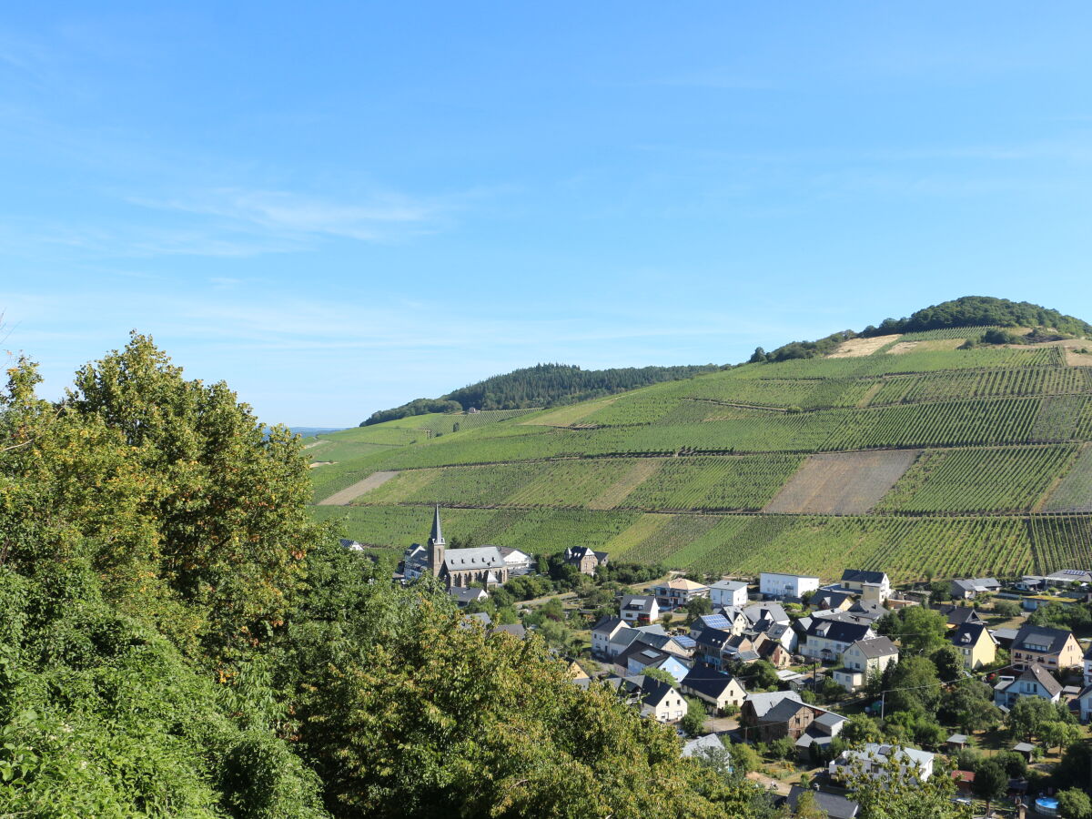 Panorama Weinort Veldenz