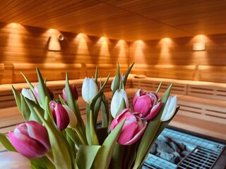 Sauna MüritzTherme
