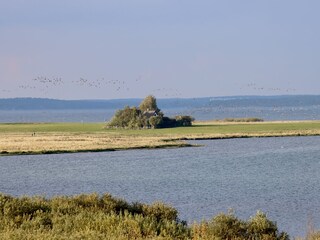 Natur pur genießen an der Müritz