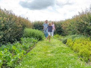 Holiday apartment Ellemeet Environment 22