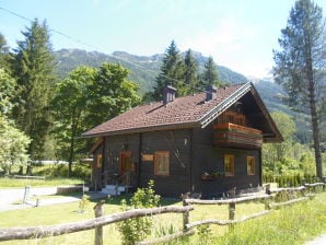 Ferienhaus Jagdhütte Fritz - Wald im Pinzgau - image1