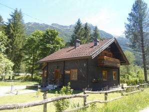 Vakantiehuis Jachthut Fritz - Bos in Pinzgau - image1