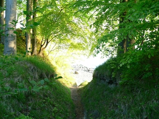Teufelsschlucht in Binz