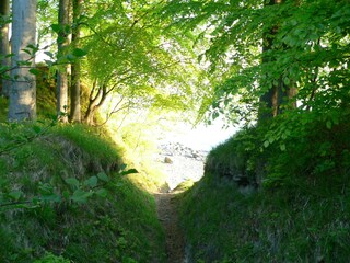 Teufelsschlucht in Binz