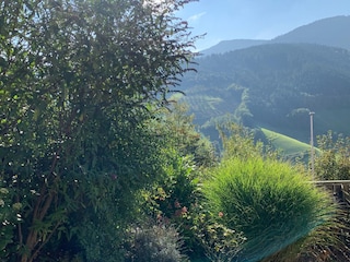 Ferienwohnung Bad Peterstal-Griesbach Umgebung 23