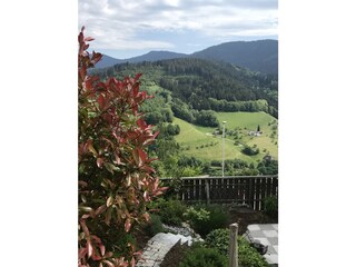 Ferienwohnung Bad Peterstal-Griesbach Außenaufnahme 10