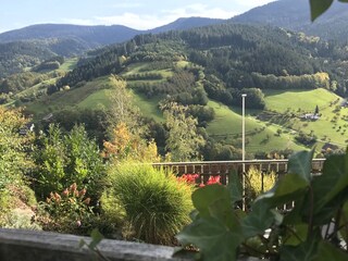 Ferienwohnung Bad Peterstal-Griesbach Außenaufnahme 11