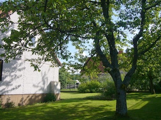 Großer Obstgarten mit Liegewiese