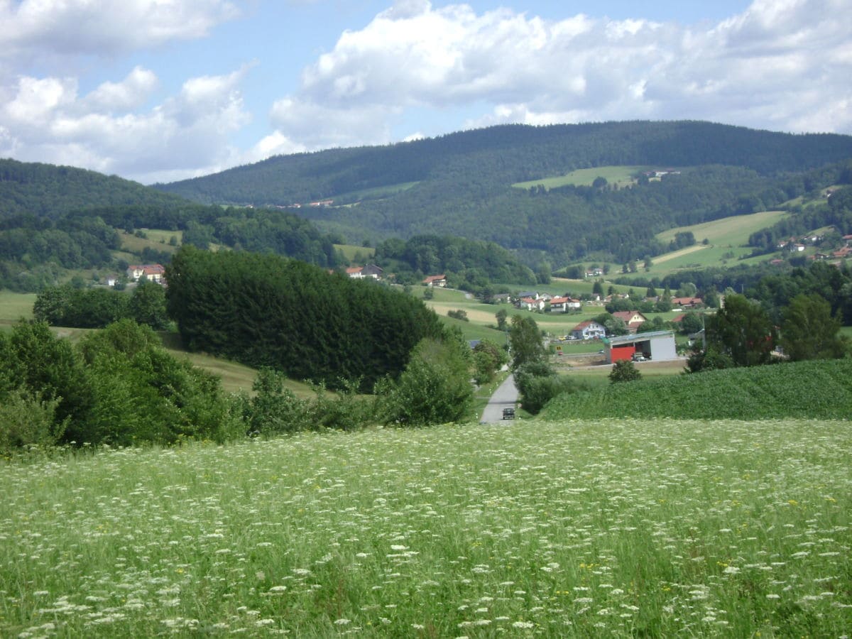 Ausschnitt  Landschaft