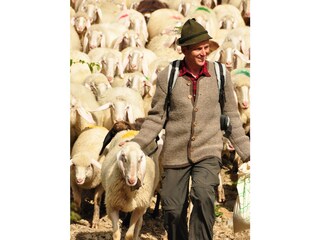 Appartamento per vacanze Graun Ambiente 14