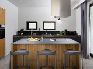 Villa Stanišovi Caratteristiche 14