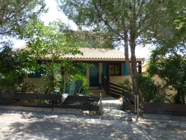 Ferienwohnung in der Villa bleu