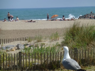 In nur 5 Minuten zu Fuss am Strand!