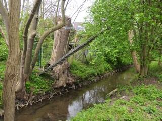 Spaziergang an der Strunde