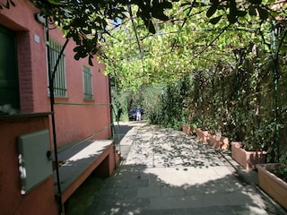 Pergola aus Weinranken, Parkplatz am Hintereingang