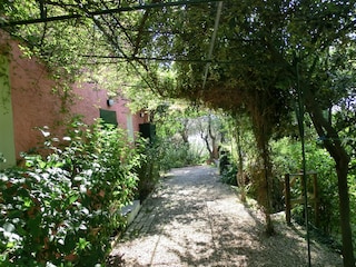 Tür zum Garten und zur schattigen Terrasse