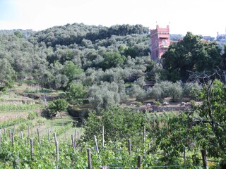 Landgut Villa Coppola mit Olivenhainen & Weinberg