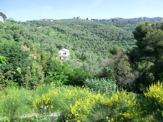 Casa Bianca Olivenhain, unweit des Stadtzentrums