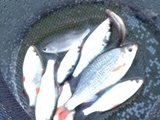 Casa per le vacanze Ermelo Ambiente 31