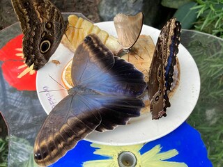 Casa per le vacanze Ermelo Ambiente 38