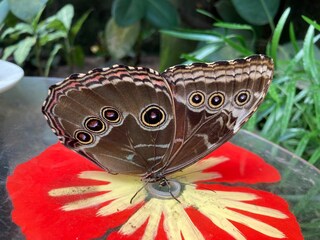 Casa per le vacanze Ermelo Ambiente 40