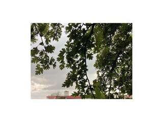 Casa per le vacanze Ermelo Ambiente 33