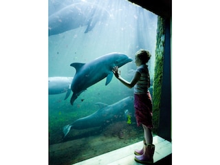 Holiday house Ermelo Environment 33