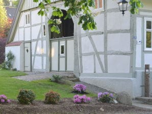 Ferienhaus AmbiENTE - Bad Wünnenberg - image1