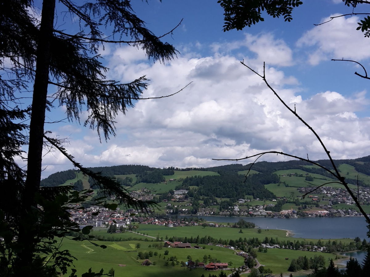 Aussicht Frühalm-Ägerisee