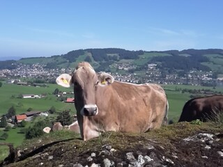 Begrüssung auf der Alm