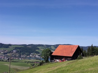 Frühalm-Hütte