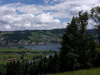 Aussicht Frühalm  Ägerisee