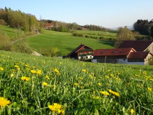 Ferienwohnung Irlmühl "Taubenschlag" - Schwarzach in Niederbayern - image1