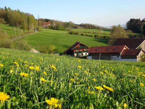 Ferienwohnung Irlmühl "Taubenschlag"